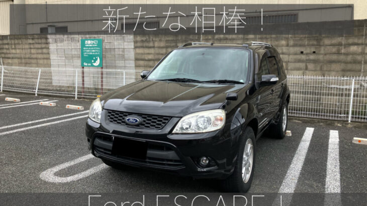 新たな車はFordのESCAPE！一挙大公開！〜 itsukiと旅キャンプ〜Vol.42