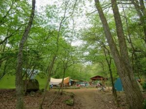 自然の森ファミリーオートキャンプ場写真1