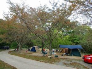 自然の森ファミリーオートキャンプ場写真3
